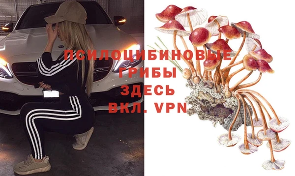 a pvp Алексин