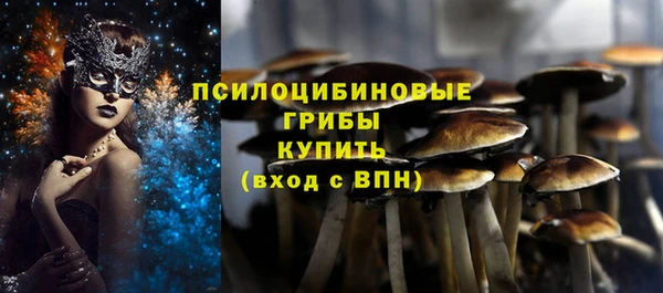синтетический гашиш Алексеевка