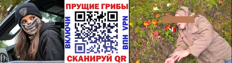 даркнет сайт  Усть-Лабинск  Псилоцибиновые грибы MAGIC MUSHROOMS 